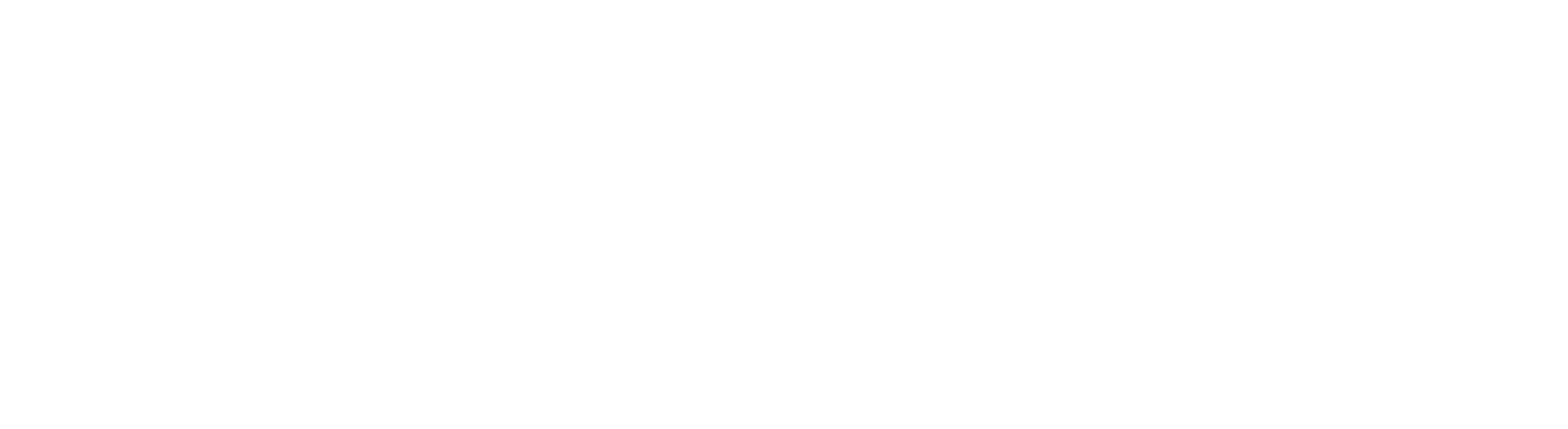 logo Aquarium Passion Service