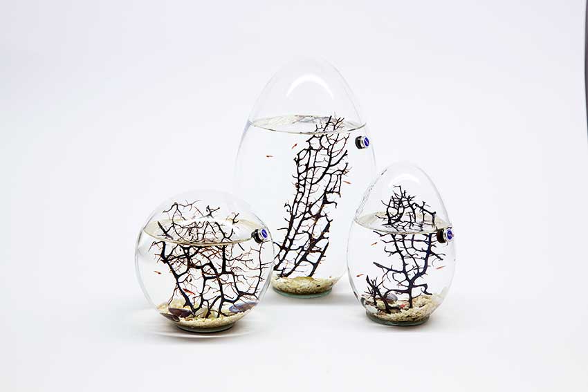 EGG OF LIFE EG5 Aquarium Passion Service